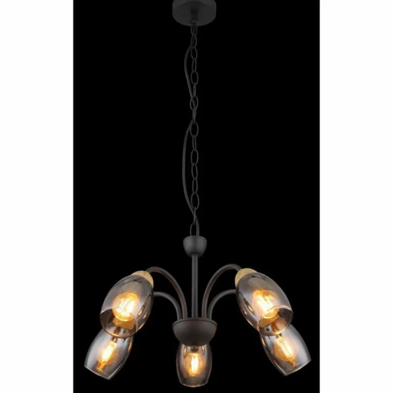 GERLY Suspension Luminaires Globo Lighting Noir, 5 lumières
