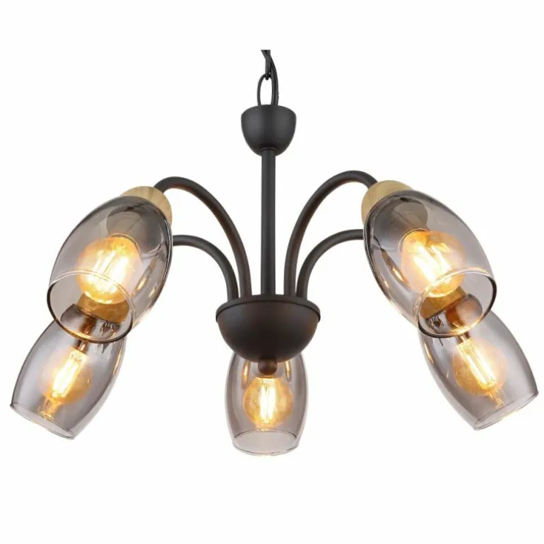 GERLY Suspension Luminaires Globo Lighting Noir, 5 lumières