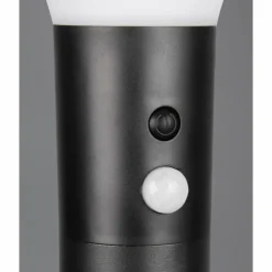 Gorda Lampadaire d'extérieur Luminaires Reality LED Noir, 1 lumière, Détecteur de mouvement