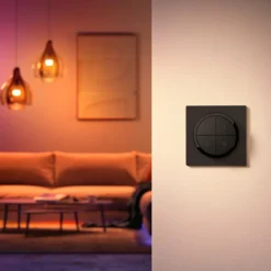 interrupteur Philips Hue Tap Dial Noir