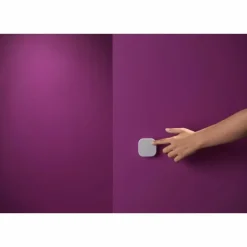 interrupteur Philips WiZ Blanc