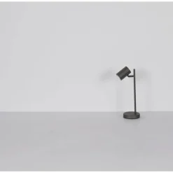 James Lampe à poser Luminaires Globo Lighting Gris, 1 lumière