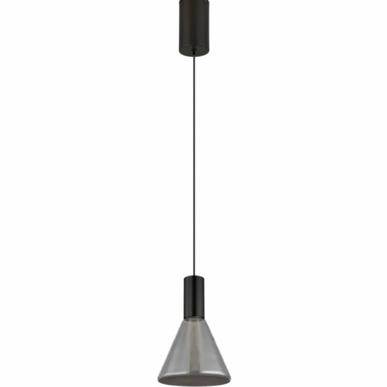 Labora Suspension Luminaires Globo Lighting LED Noir, 1 lumière