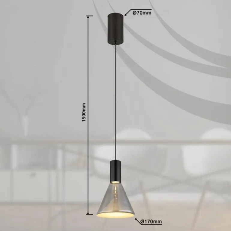 Labora Suspension Luminaires Globo Lighting LED Noir, 1 lumière
