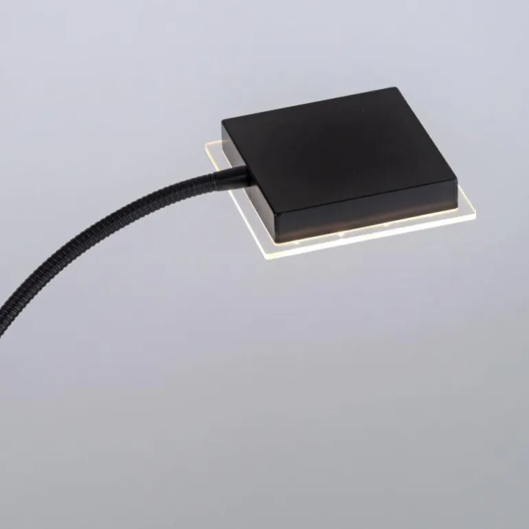 Lampadaire à vasque Leuchten-Direkt HANS LED Noir, 2 lumières