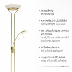 Lampadaire à vasque Leuchten-Direkt ZAHARA LED Laiton, 2 lumières