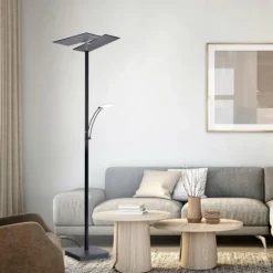 Lampadaire à vasque Paul Neuhaus ARTUR LED Anthracite, 1 lumière