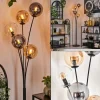 Lampadaire - Verre 15 cm Gastor Ambre, Clair, Fumé, 5 lumières