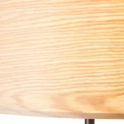 Lampadaire Brilliant-Leuchten Romm Noir, 1 lumière