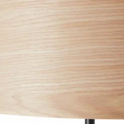 Lampadaire Brilliant-Leuchten Romm Noir, 1 lumière