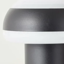 Lampadaire d'extérieur Brilliant Ilton LED Noir, 1 lumière