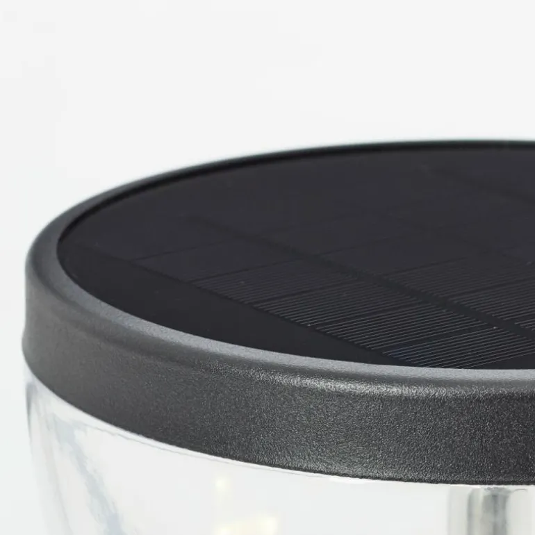 Lampadaire d'extérieur Brilliant Tulip LED Noir, 1 lumière, Détecteur de mouvement