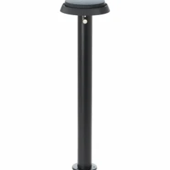 Lampadaire d'extérieur Brilliant Alvero LED Noir, 1 lumière, Détecteur de mouvement