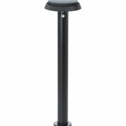 Lampadaire d'extérieur Brilliant Alvero LED Noir, 1 lumière, Détecteur de mouvement