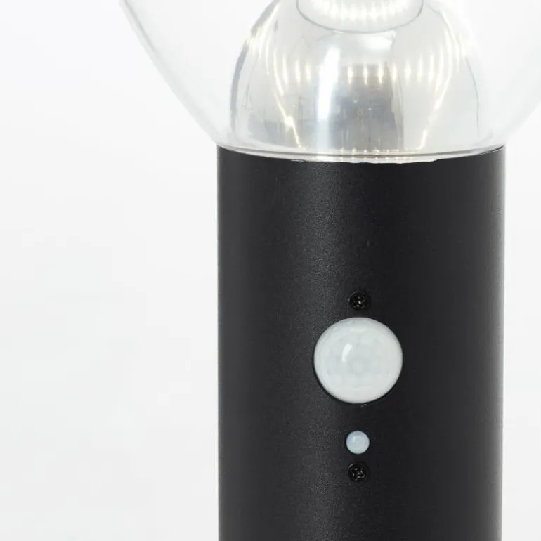 Lampadaire d'extérieur Brilliant Tulip LED Noir, 1 lumière, Détecteur de mouvement