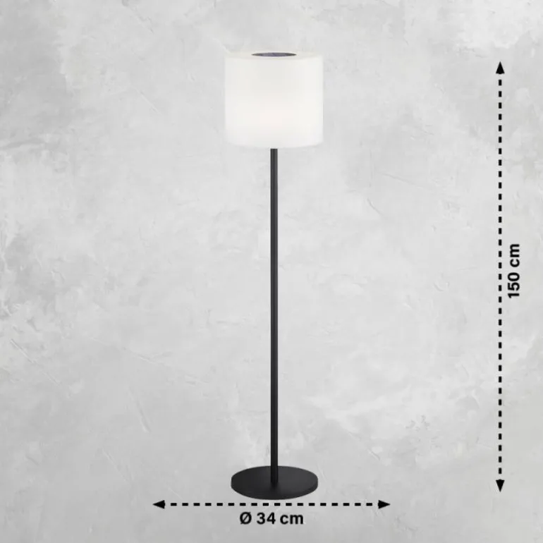 Lampadaire d'extérieur SCHÖNER WOHNEN-Kollektion LED Noir, 1 lumière, Télécommandes, Changeur de couleurs