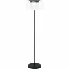 Lampadaire Eglo BRIAGLIA LED Noir, 1 lumière, Changeur de couleurs