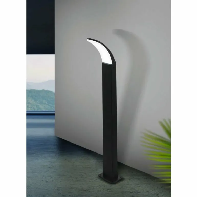 Lampadaire EGLO FIUMICINO LED Noir, 1 lumière