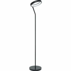 Lampadaire Eglo MARGHERA LED Noir, 1 lumière, Changeur de couleurs
