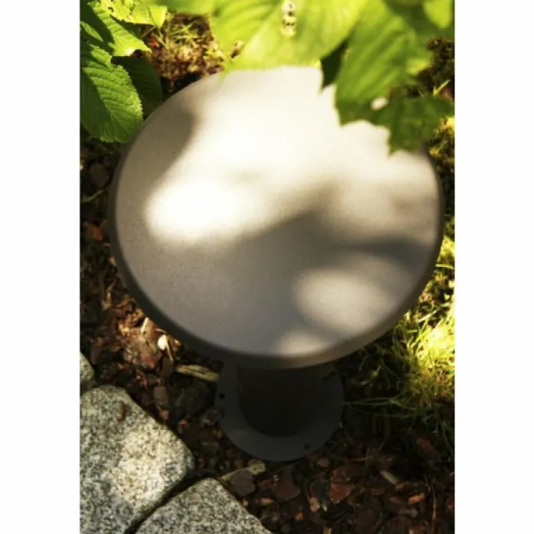 Lampadaire extérieur Trio KONGO Noir, 1 lumière