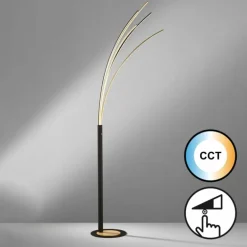 Lampadaire Fischer & Honsel Ellmau LED Noir, 1 lumière