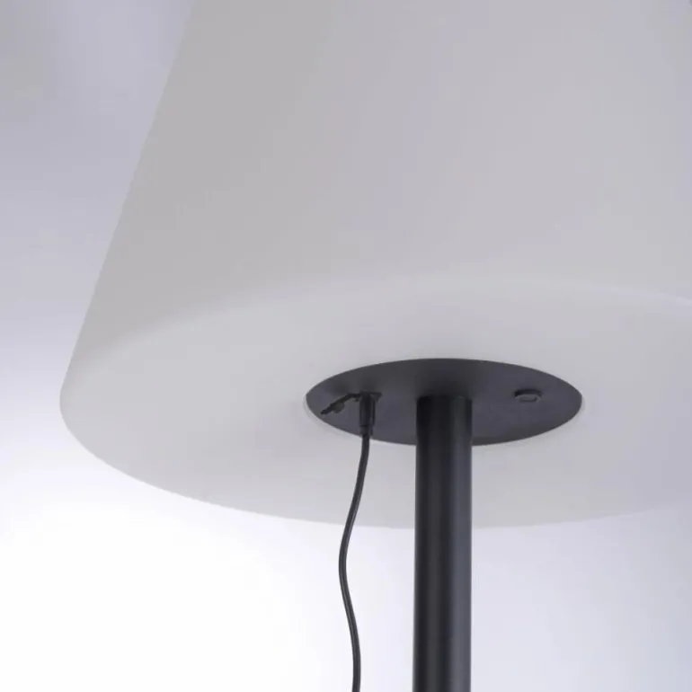 Lampadaire Leuchten Direkt HOLLY LED Noir, 1 lumière, Changeur de couleurs