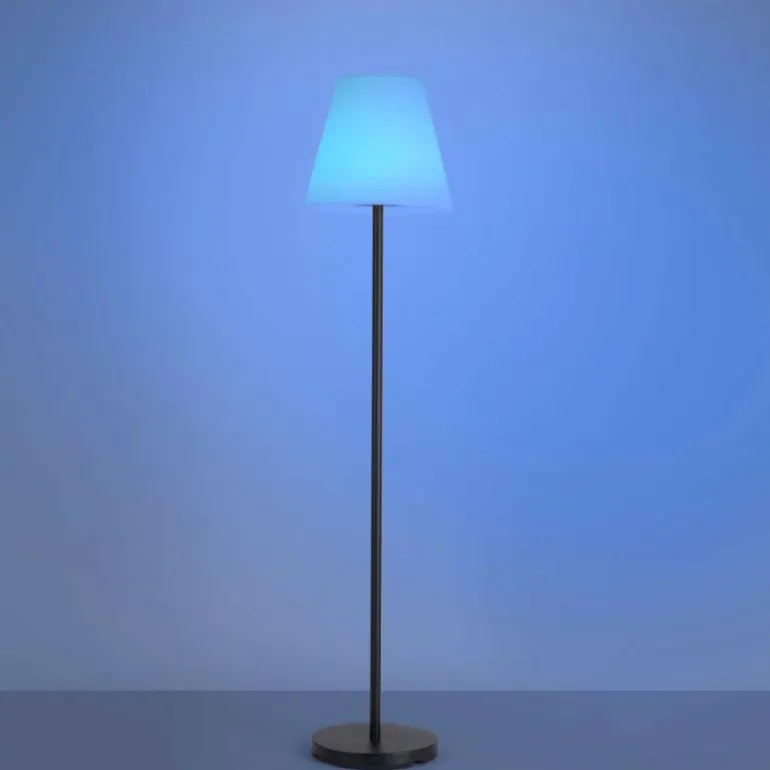 Lampadaire Leuchten Direkt HOLLY LED Noir, 1 lumière, Changeur de couleurs