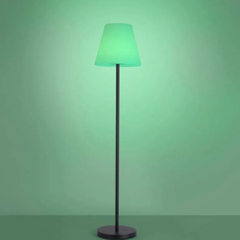Lampadaire Leuchten Direkt HOLLY LED Noir, 1 lumière, Changeur de couleurs