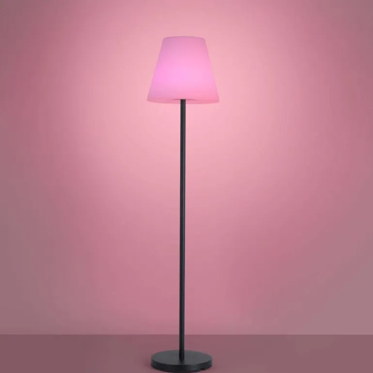 Lampadaire Leuchten Direkt HOLLY LED Noir, 1 lumière, Changeur de couleurs