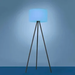 Lampadaire Leuchten Direkt HOLLY LED Noir, 1 lumière, Changeur de couleurs