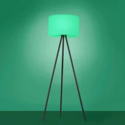 Lampadaire Leuchten Direkt HOLLY LED Noir, 1 lumière, Changeur de couleurs