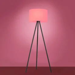 Lampadaire Leuchten Direkt HOLLY LED Noir, 1 lumière, Changeur de couleurs