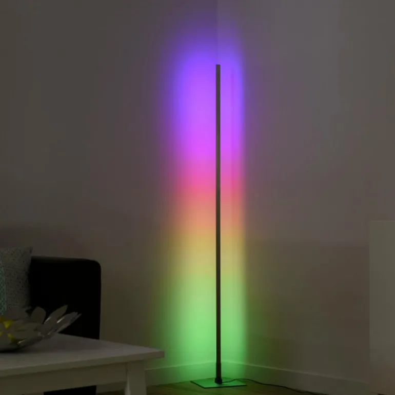 Lampadaire Leuchten-Direkt HENRY LED Acier brossé, 1 lumière, Télécommandes