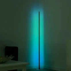 Lampadaire Leuchten-Direkt HENRY LED Acier brossé, 1 lumière, Télécommandes