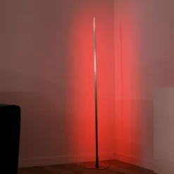 Lampadaire Leuchten-Direkt HENRY LED Acier brossé, 1 lumière, Télécommandes