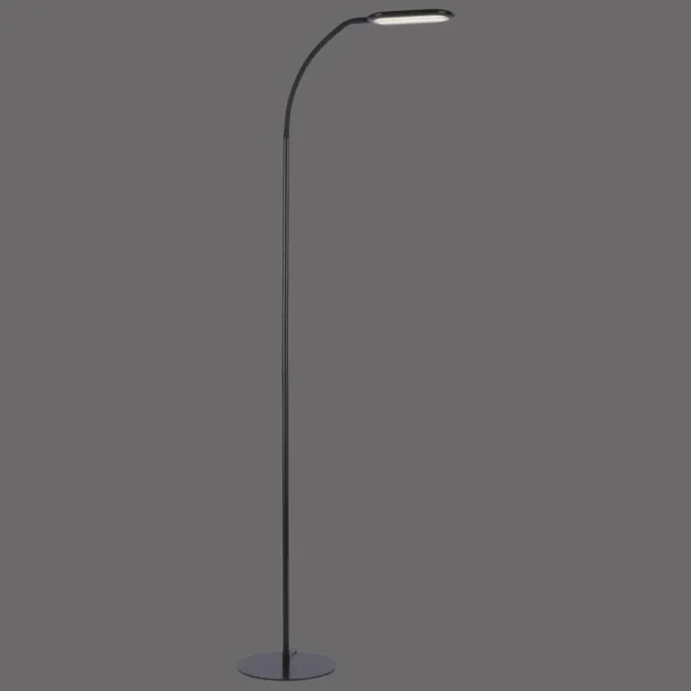 Lampadaire Leuchten-Direkt KELLY LED Noir, 1 lumière