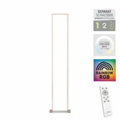Lampadaire Leuchten-Direkt FELIX60 LED Acier brossé, 2 lumières, Télécommandes, Changeur de couleurs