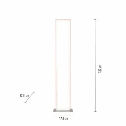 Lampadaire Leuchten-Direkt FELIX60 LED Acier brossé, 2 lumières, Télécommandes, Changeur de couleurs
