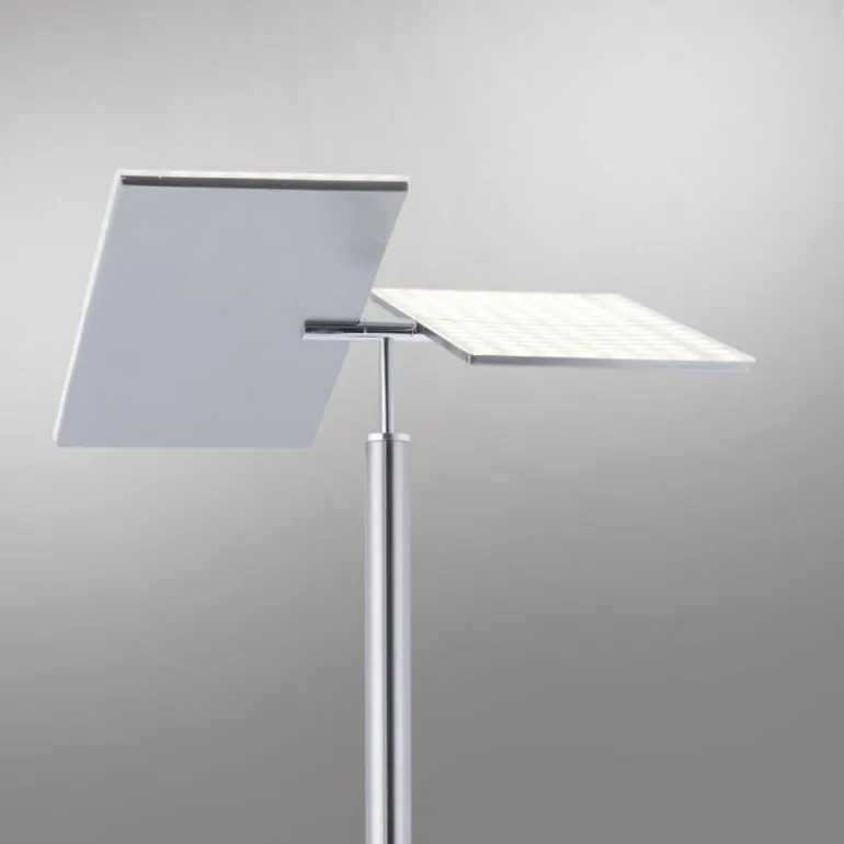 Lampadaire Paul Neuhaus ARTUR LED Acier inoxydable, 2 lumières