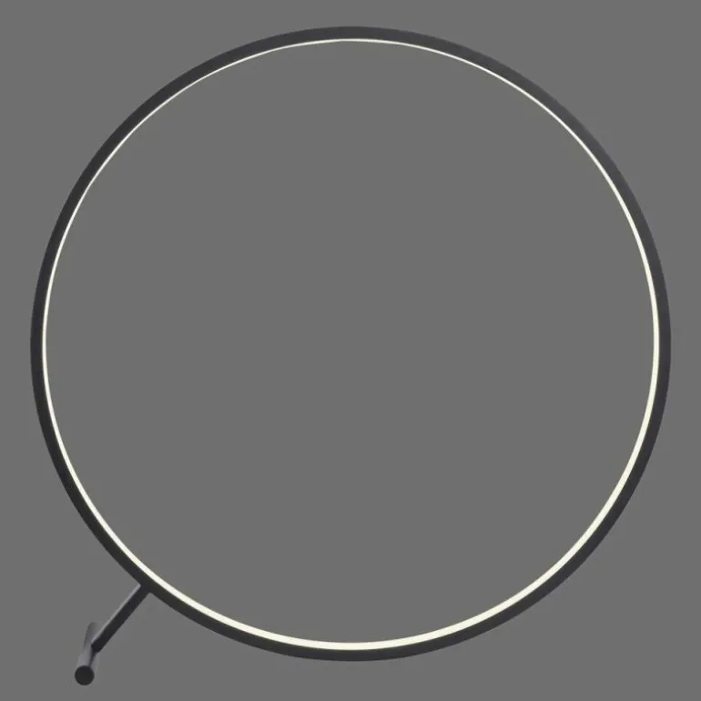 Lampadaire Paul Neuhaus HULA LED Noir, 1 lumière, Télécommandes