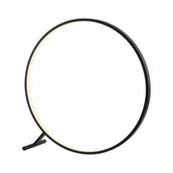 Lampadaire Paul Neuhaus HULA LED Noir, 1 lumière, Télécommandes