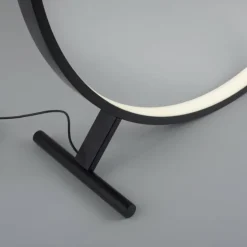 Lampadaire Paul Neuhaus HULA LED Noir, 1 lumière, Télécommandes
