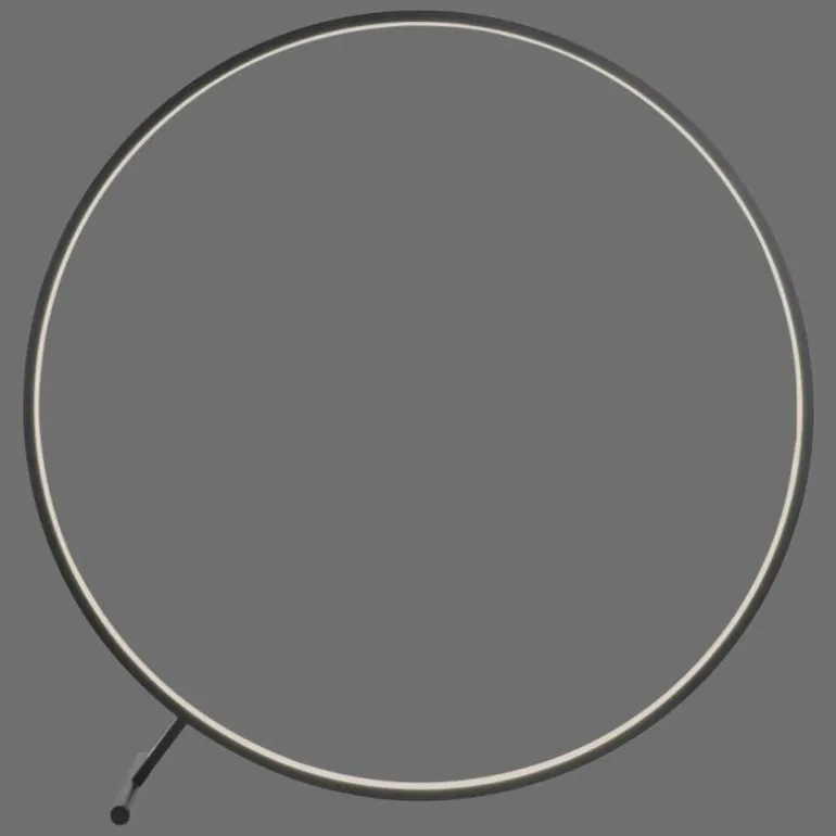 Lampadaire Paul Neuhaus HULA LED Noir, 1 lumière, Télécommandes