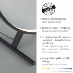 Lampadaire Paul Neuhaus HULA LED Noir, 1 lumière, Télécommandes