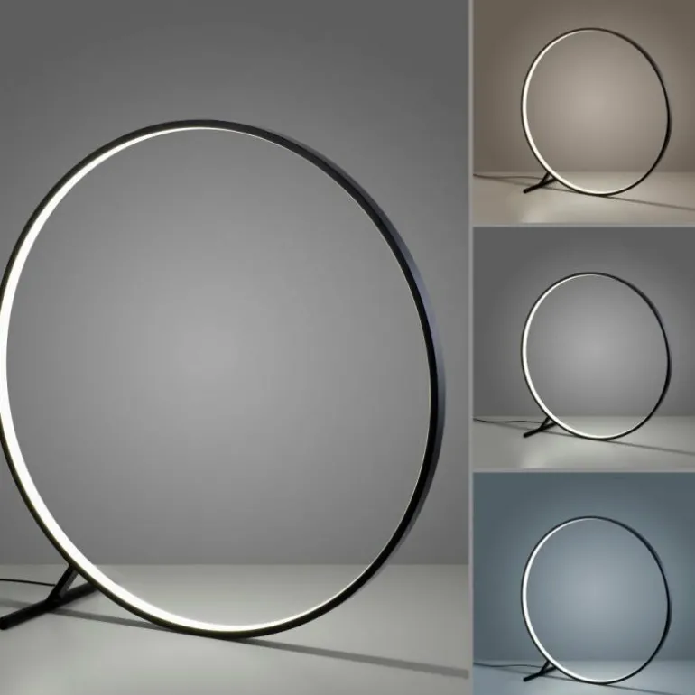 Lampadaire Paul Neuhaus HULA LED Noir, 1 lumière, Télécommandes