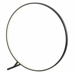 Lampadaire Paul Neuhaus HULA LED Noir, 1 lumière, Télécommandes