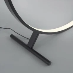 Lampadaire Paul Neuhaus HULA LED Noir, 1 lumière, Télécommandes