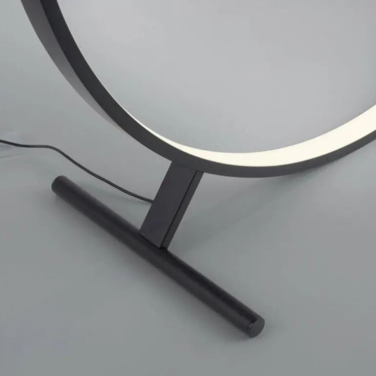 Lampadaire Paul Neuhaus HULA LED Noir, 1 lumière, Télécommandes