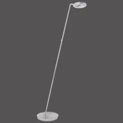 Lampadaire Paul Neuhaus MARTIN LED Acier inoxydable, 1 lumière