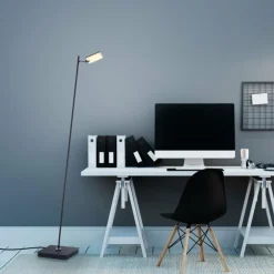 Lampadaire Paul Neuhaus PURE-MIRA LED Noir, 1 lumière, Télécommandes